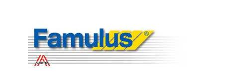 FAMULUS