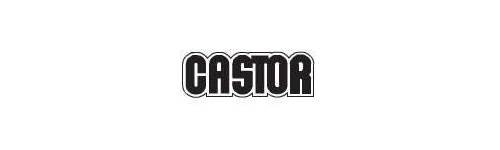 CASTOR