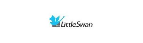 LITTLESWAM